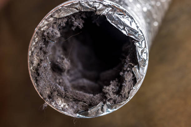 Best Home Air Vent Cleaning  in Bagdad, AZ